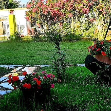Apartamento Kolonia E Artistave Velipojë Exterior foto