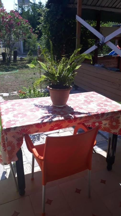 Apartamento Kolonia E Artistave Velipojë Exterior foto