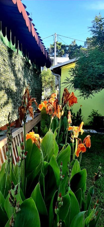 Apartamento Kolonia E Artistave Velipojë Exterior foto