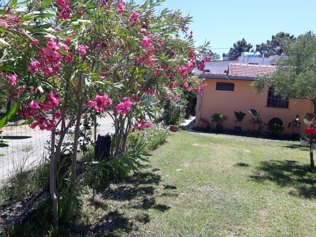 Apartamento Kolonia E Artistave Velipojë Exterior foto